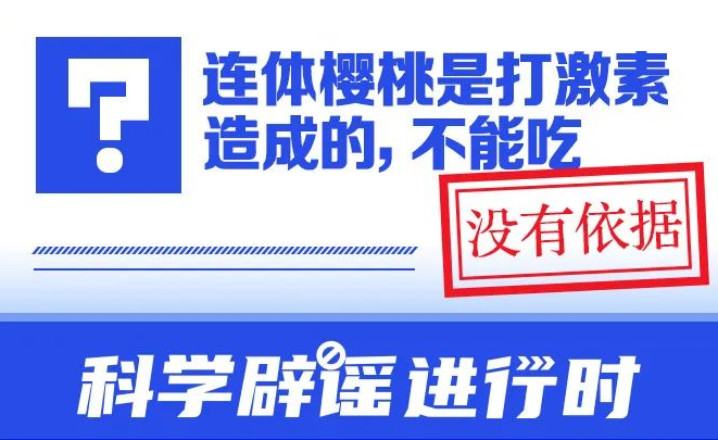 连体樱桃是打激素造成的，不能吃？ 