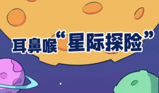鼻子里面长什么样？一图看懂→ 